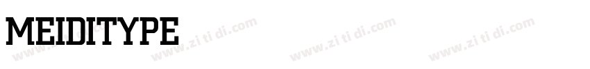 MEIDITYPE MEDIUM MEI字体转换